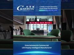 商用ディスプレイタイプ25