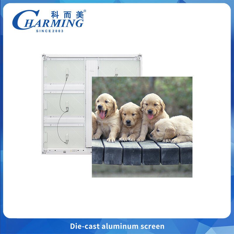 Outdoor Fixed Installation LED Screen with IP65 Waterproof Protection, 6500 CD/m² Brightness, and 220W/m² Energy Efficiency